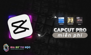 Nhận Tài Khoản CapCut Pro Miễn Phí Tại giasutinhoc.com.vn